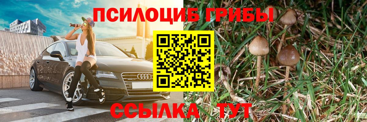 Галлюциногенные грибы мухоморы  Вход с VPN  Псилоцибиновые грибы Magic Shrooms  Рубцовск 